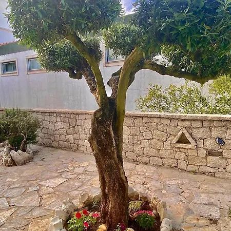 منزل ريفي Casa Laranjeiras *